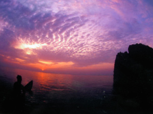 画像(300x225)