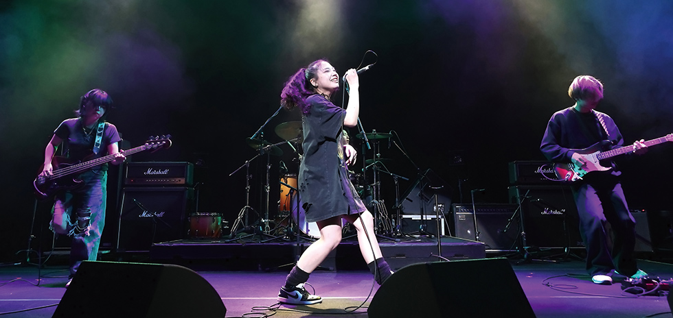 PROFESSIONAL MUSICIAN